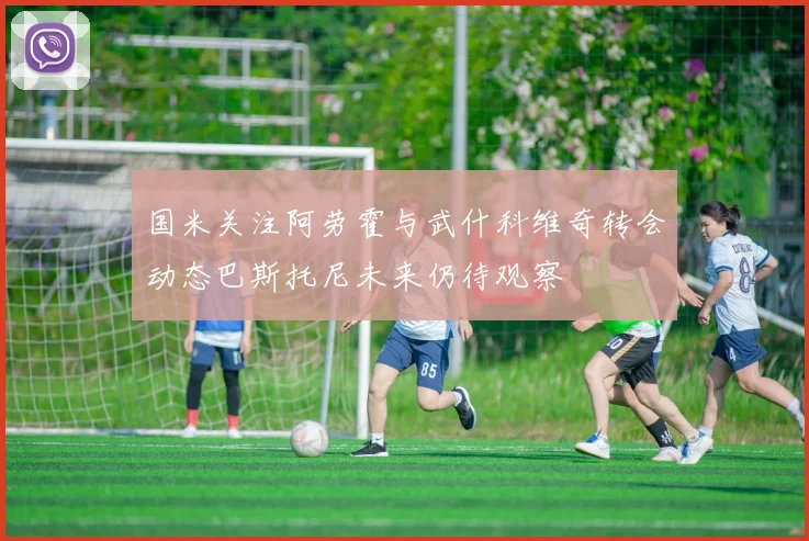 国米关注阿劳霍与武什科维奇转会动态巴斯托尼未来仍待观察