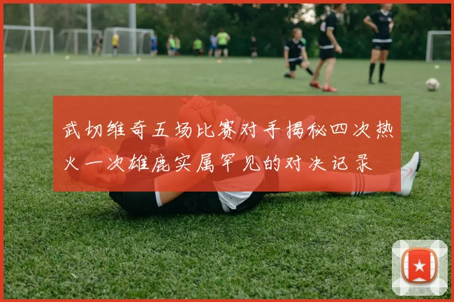武切维奇五场比赛对手揭秘四次热火一次雄鹿实属罕见的对决记录