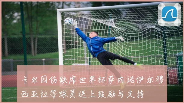 卡尔因伤缺席世界杯萨内诺伊尔穆西亚拉等球员送上鼓励与支持